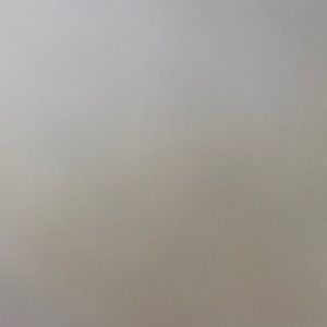 Meet your Posher, Abbi